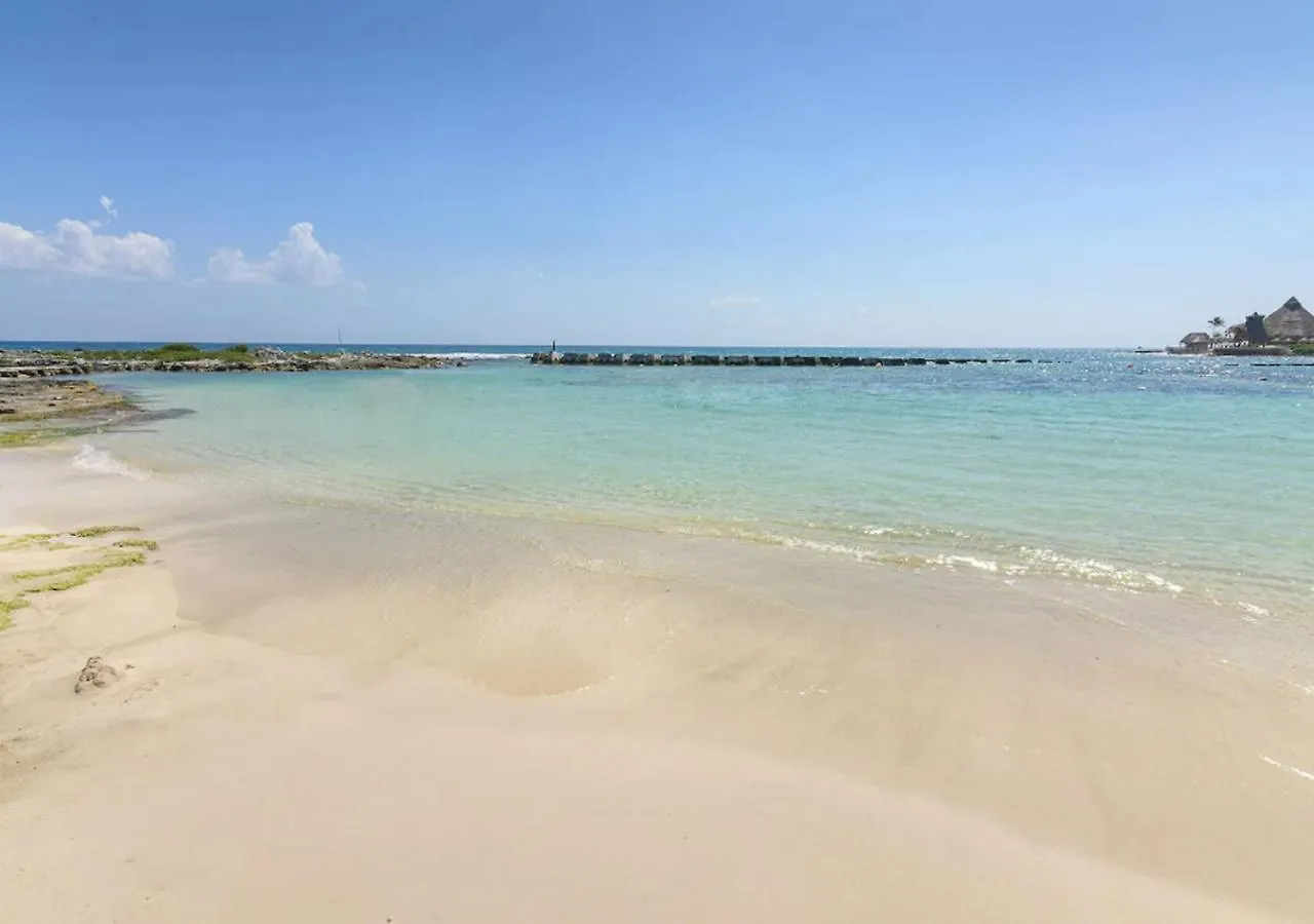Relax, With Our Beautiful Gardens, Large Pool And Just Steps From The Beach And Lagoon Puerto Aventuras